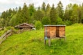 Village apiary. Beehives on an alpine meadow in summer