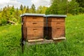 Village apiary. Beehives on an alpine meadow in summer