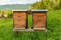 Village apiary. Beehives on an alpine meadow in summer