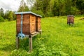 Village apiary. Beehives on an alpine meadow in summer