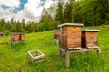 Village apiary. Beehives on an alpine meadow in summer