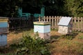 Village apiary, honey production.