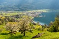 The village of Arth on Lake Zug in the central alps of Switzerland Royalty Free Stock Photo