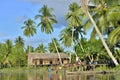 The Village of asmat people tribe on the river in Jungle of New Guinea.