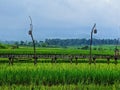 Village atmosphere. Beautiful mountains and vast expanses of rice fields Royalty Free Stock Photo