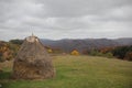 Village in autumn