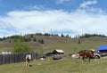 The village of Balyktuyul in the Ulagan District of the Altai Republic