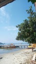 village beach,tree and a boat Royalty Free Stock Photo
