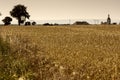 Village behind the field Royalty Free Stock Photo