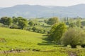 The village of Cabarceno Royalty Free Stock Photo