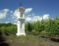 Village chapel with wineyard near Perna Royalty Free Stock Photo