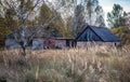 Village in Chernobyl zone Royalty Free Stock Photo