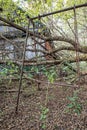 Village in Chernobyl zone