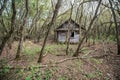 Village in Chernobyl zone Royalty Free Stock Photo