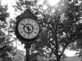 Village Clock In The Local Park in Black And White Royalty Free Stock Photo