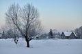 A village covered with snow