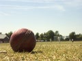 Village cricket Royalty Free Stock Photo