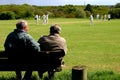 Village cricket match spectators Royalty Free Stock Photo