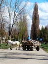 Village Debeljaca, Vojvodina, Serbia. Gipsy wagon in the center of the village. White horse. Wagon full of various material. Royalty Free Stock Photo