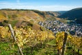 Village of Dernau from the vineyards along `Rotweinwanderweg` in Germany`s Ahr Valley