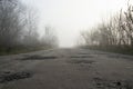 Village dirt road with many pits and trees on the sides, thick morning fog, deep autumn,gloomy mood. 1-st person view