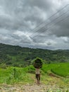 Village Farmer Green Rice Filed