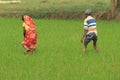 Village farming land and village lifestyle of farmers