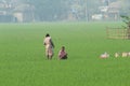 Village farming land and village lifestyle of farmers