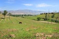 The village, field and the mountain near Panjikent in Tajikistan Royalty Free Stock Photo