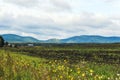 Village in the foothills of the Sayan Mountains. Eastern Siberia. Roofs of houses and wooden buildings. Plowed field Royalty Free Stock Photo