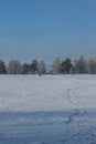 Village in the forest behind the field Royalty Free Stock Photo