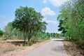 village forest road nature view point Royalty Free Stock Photo