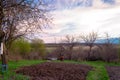 Village garden in Russia. Plowed land, ready for planting vegetables. Pink sunset sky. Royalty Free Stock Photo