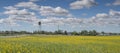 Village of Gleichen and a Canola Field Royalty Free Stock Photo