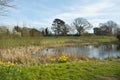 Spring sunshine, Frampton on Severn, Gloucestershire, UK