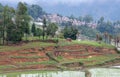 Village in Yuanyang county, Yunnan, China Royalty Free Stock Photo