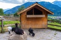 Village of Heidi - Heididorf - in Switzerland