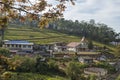 Village in a hill at Nilgiri forest Ooty. Landscape of Ooty Tamil nadu India Royalty Free Stock Photo