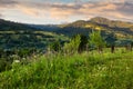 Village on hillside meadow with forest in mountain Royalty Free Stock Photo