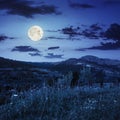 Village on hillside meadow with forest in mountain at night Royalty Free Stock Photo