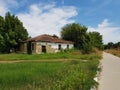 Village house next to the road between trees, grass and sky