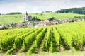 Village of Hunawihr, Alsace Royalty Free Stock Photo