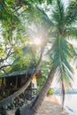 Village hut on the beach. Exotic wooden hut underneath coconut palm trees. Housing for downshifter. Sunlight breaks through the