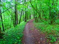 Village jogging trail at the very edge of the gully Royalty Free Stock Photo