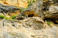 The village of La Roque Gageac, France. Rocks and caves are houses of ancient troglodytes or cavemen.