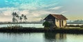 Village lake view in kerala