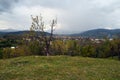 Village landscape
