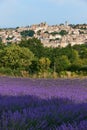 Village and lavender in Provence Royalty Free Stock Photo