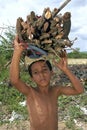 Village Life, Brazilian boy lugging firewood