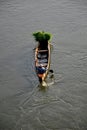 A village life of green kerala,